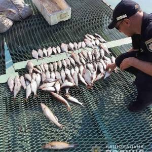 В Запорожье задержали двух браконьеров: изъято рыбы на 9 тыс. грн. Фото