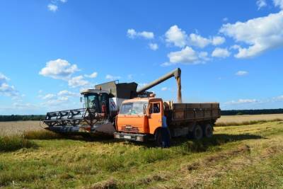 Новгородские фермеры накопали 117 тонн картофеля