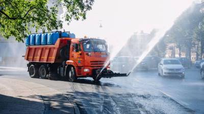 За неделю на газоны Петербурга вылили более 7 тыс. кубометров воды