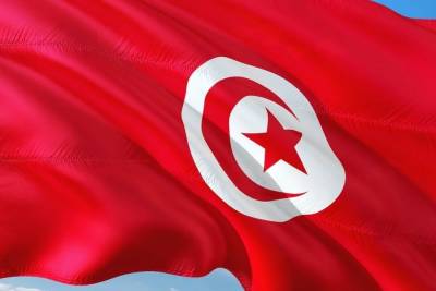 Саид Каис - Президент Туниса уволил глав Минобороны и Минюста - mk.ru - Тунис - Тунисская Респ.