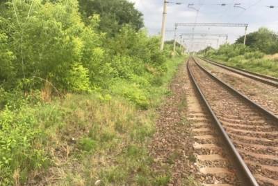Пассажир поезда "Львов-Мариуполь" выпал на ходу и попал в реанимацию