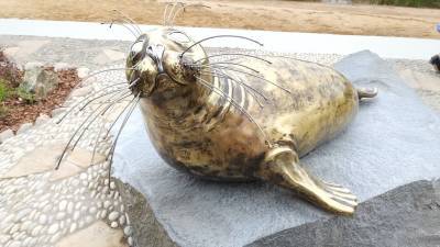 В Кронштадте открыли памятник тюленю