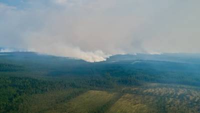 В Карелии локализовали половину лесных пожаров