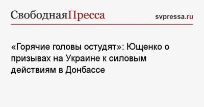 «Горячие головы остудят»: Ющенко о призывах на Украине к силовым действиям в Донбассе