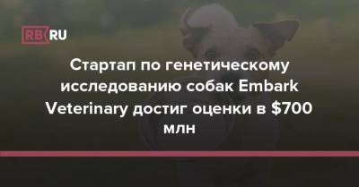 Стартап по генетическому исследованию собак Embark Veterinary достиг оценки в $700 млн