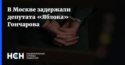 В Москве задержали депутата «Яблока» Гончарова