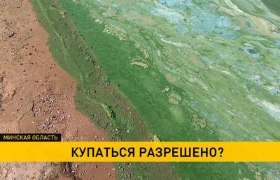 Странный цвет и неприятный запах: берега Минского моря покрылись слизью. Опасно ли купаться?