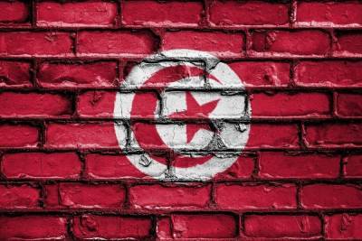 Президент Туниса ввел комендантский час