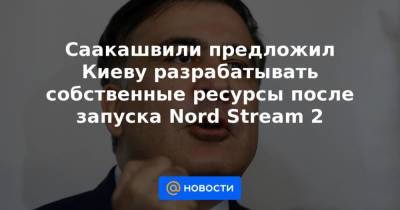 Саакашвили предложил Киеву разрабатывать собственные ресурсы после запуска Nord Stream 2