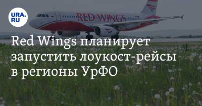 Red Wings планирует запустить лоукост-рейсы в регионы УрФО