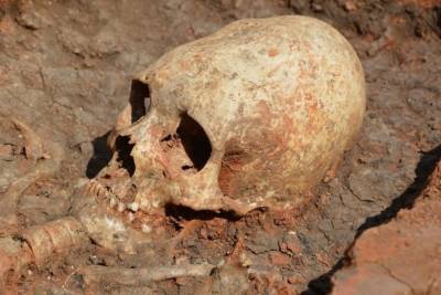 Страшная находка: появились подробности о массовом захоронении, найденном в Карелии