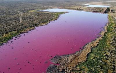 В Аргентине лагуна стала розовой из-за отходов