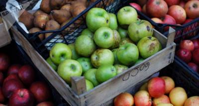 Государство поможет грузинским фермерам в реализации нестандартных яблок