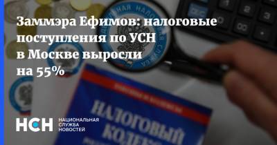 Заммэра Ефимов: налоговые поступления по УСН в Москве выросли на 55%