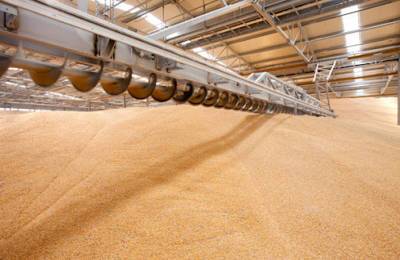 Элеваторы Ristone Holdings приняли на хранение 50 тыс. т зерна