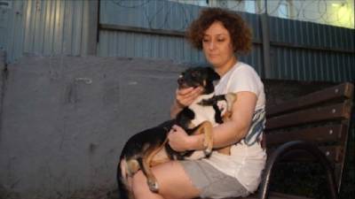 Для потерявшей две лапы бездомной собаки в Новосибирске сделали титановые протезы