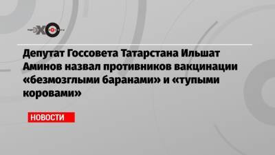 Депутат Госсовета Татарстана Ильшат Аминов назвал противников вакцинации «безмозглыми баранами» и «тупыми коровами»