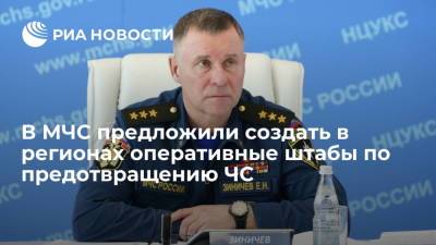 Глава МЧС Зиничев предложил создать в каждом регионе оперативные штабы по предотвращению ЧС
