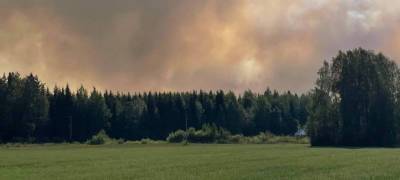 В соседней с Карелией Финляндии борются с лесным пожаром площадью 200 гектаров