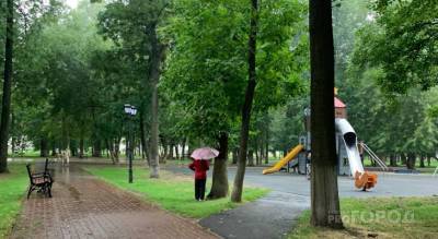 Последняя теплая неделя: какая погода ждет ярославцев в августе