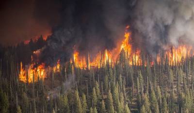 Ущерб от пожаров в Якутии превысил 1 млрд рублей