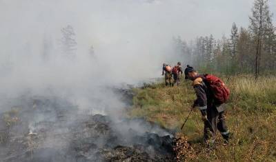 Ущерб от пожаров в Якутии оценили в миллиард рублей