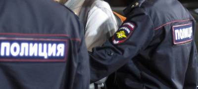 В городе бумажников в Карелии задержали участника драки, матом разговаривающего с полицейским