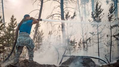 В МЧС Якутии рассказали о ситуации с лесными пожарами в регионе