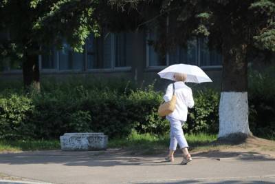 В августе в Тверскую область может вернуться очень жаркая погода
