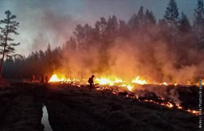 Глава Якутии сообщил, что региону нужно 1,3 млрд руб. на борьбу с пожарами