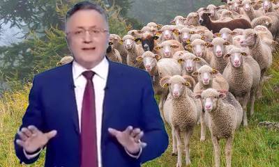 Прививать как стадо: депутат-единоросс назвал россиян «безмозглыми баранами и коровами»