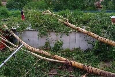 Администрация Кокуя: Все упавшие после урагана столбы электропередач подключены