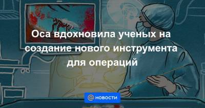 Оса вдохновила ученых на создание нового инструмента для операций