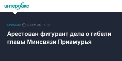 Арестован фигурант дела о гибели главы Минсвязи Приамурья