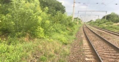 Во Львовской области пассажир попал в реанимацию, выпав из поезда на ходу
