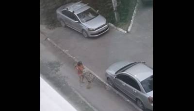Девочка избила и бросила на асфальт щенка в Новомичуринске
