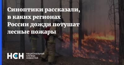 Синоптики рассказали, в каких регионах России дожди потушат лесные пожары