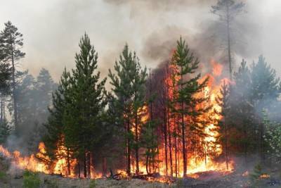 За прошедшие сутки в Марий Эл произошло два лесных пожара