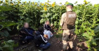 Украинские пограничники отыскали российского "вора в законе" из списка СНБО в подсолнухах