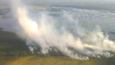В Вологодской области локализовали все действующие лесные пожары