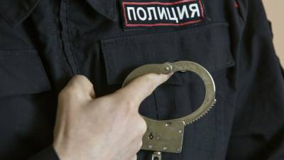 В Петербурге задержали подозреваемого в ограблении артиста Михайловского театра