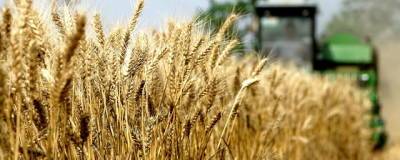 На Кубани собрали рекордный урожай зерна