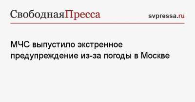 МЧС выпустило экстренное предупреждение из-за погоды в Москве - svpressa.ru - Москва - Россия - 27 Июля