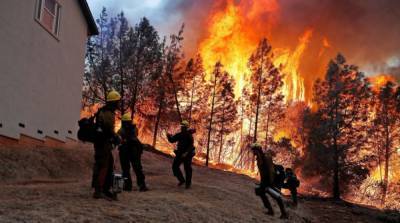 В США горят леса в 12 штатах
