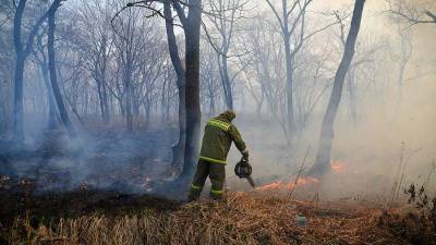 Особый противопожарный режим ввели в Приморском крае