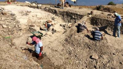 Находка археологов в ЮАР доказывает умение парантропов изготавливать орудия труда
