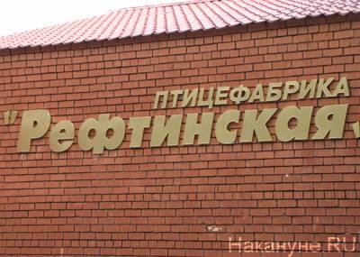 Свердловские власти выставляют на продажу птицефабрику "Рефтинскую"