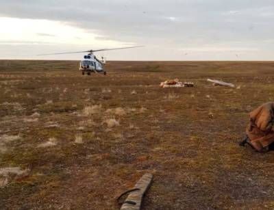 Спасатели на вертолете прогнали белого медведя, захватившего стойбище тундровиков на Ямале