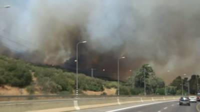 Лесной пожар на севере Израиля оставил Кирят-Шмону без электричества