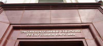В парламенте Карелии подготовлено обращение в Счетную палату РФ с просьбой проверить финансирование мероприятий по борьбе с лесными пожарами